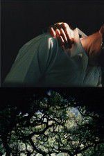 Watch The Hedge Theater M4ufree