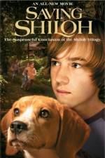 Watch Saving Shiloh M4ufree