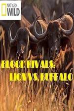 Watch National Geographic - Blood Rivals: Lion vs. Buffalo M4ufree