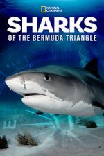 Watch Sharks of the Bermuda Triangle (TV Special 2020) M4ufree