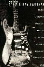 Watch A Tribute to Stevie Ray Vaughan M4ufree