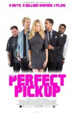 Watch The Perfect Pickup M4ufree