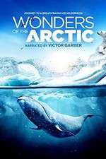 Watch Wonders of the Arctic 3D M4ufree