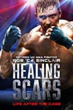 Watch Healing Scars M4ufree