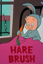 Watch Hare Brush (Short 1955) M4ufree