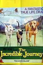 Watch The Incredible Journey M4ufree