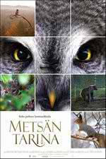 Watch Tale of a Forest M4ufree