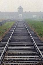 Watch AUSCHWITZ: FACTORIES OF DEATH M4ufree