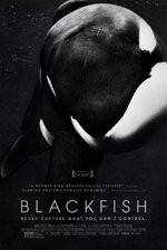 Watch Blackfish M4ufree