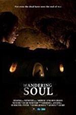 Watch Wandering Soul M4ufree