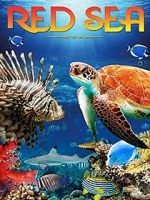 Watch Red Sea 4K M4ufree