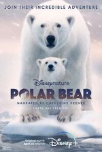 Watch Polar Bear M4ufree