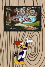 Watch The Redwood Sap (Short 1951) M4ufree