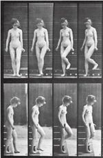 Watch Woman Walking Downstairs M4ufree