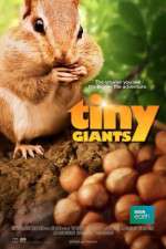 Watch Tiny Giants 3D M4ufree