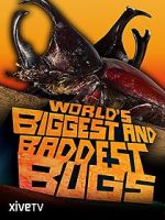 Watch World\'s Biggest and Baddest Bugs M4ufree