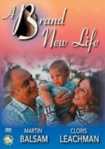 Watch A Brand New Life M4ufree