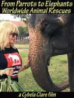 Watch From Parrots to Elephants: Worldwide Animal Rescues M4ufree