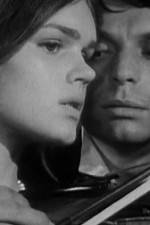 Watch Pavoncello M4ufree