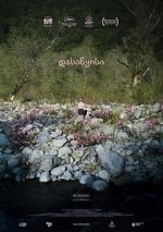 Watch Beginning M4ufree