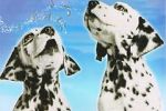Watch 101 Dalmatians Sing Along M4ufree