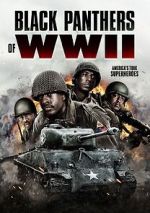 Watch Black Panthers of WWII M4ufree