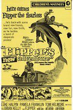 Watch Flippers New Adventure M4ufree