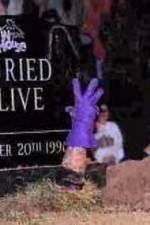 Watch WWF Buried Alive In Your House M4ufree