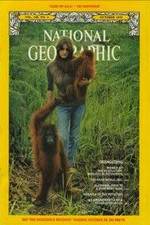 Watch Search for the Great Apes M4ufree