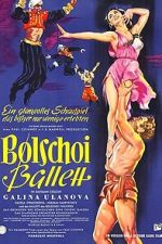Watch The Bolshoi Ballet M4ufree