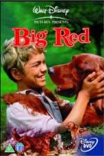 Watch Big Red M4ufree