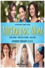 Watch Meddling Mom M4ufree