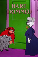 Watch Hare Trimmed (Short 1953) M4ufree
