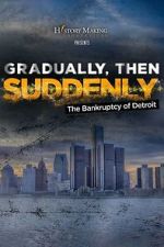 Watch Gradually, Then Suddenly: The Bankruptcy of Detroit M4ufree