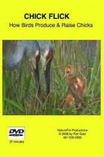 Watch Chick Flick How Birds Produce and Raise Chicks M4ufree