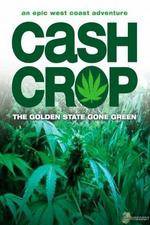 Watch Cash Crop M4ufree