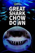 Watch Great Shark Chow Down M4ufree