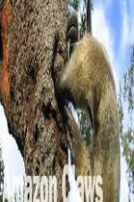 Watch National Geographic Wild Amazon Claws M4ufree