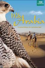 Watch Wild Arabia M4ufree