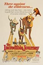 Watch The Incredible Journey M4ufree