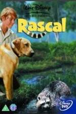Watch Rascal M4ufree