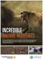 Watch Incredible Animal Moments M4ufree