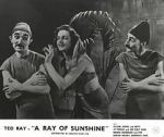 Watch A Ray of Sunshine: An Irresponsible Medley of Song and Dance M4ufree