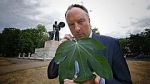 Watch Fig Leaf: The Biggest Cover-Up in History M4ufree