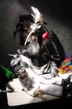 Watch Ornithology M4ufree