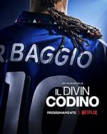 Watch Baggio: The Divine Ponytail M4ufree