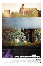 Watch The Learning Tree M4ufree