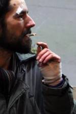 Watch Into the Night M4ufree