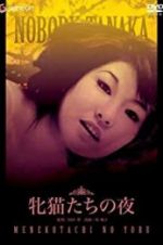 Watch Night of the Felines M4ufree