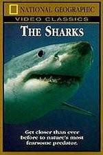 Watch National Geographic The Sharks M4ufree